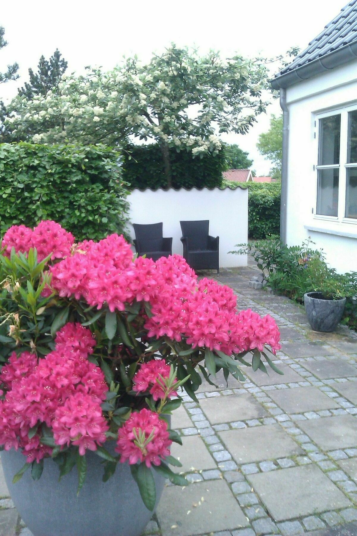 Helts B&B - Helts Guesthouse Herning Exterior photo